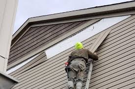 Best Custom Siding Design  in Angier, NC